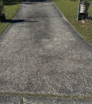 Dirty driveway before professional cleaning - dark stains and mold visible
